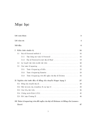 Nghiên cứu toán tử squaring trong đại số Steenrod và 