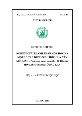 Nghiên cứu hóa học và tác dụng sinh học của cây mũi mác 