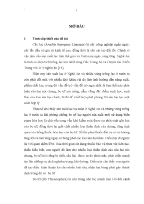 Nghiên cứu bọ trĩ hại lạc và thiên địch tại Nghệ An