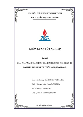 Giải pháp nâng cao hiệu quả kinh doanh cho Công ty Đại Long