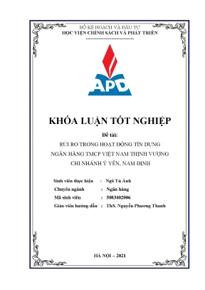 Rủi ro tín dụng tại ngân hàng TMCP Việt Nam Thịnh Vượng 