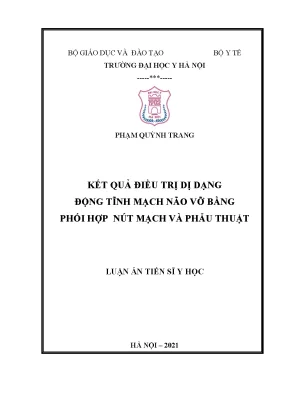 Điều trị dị dạng động tĩnh mạch não vỡ: Nút mạch kết hợp 