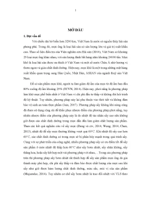 Nghiên cứu kỹ thuật sấy mực ống trong luận án tiến sĩ