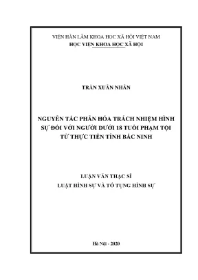 Phân Hóa Trách Nhiệm Hình Sự Đối Với Người Dưới 18 Tuổi