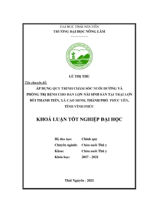 Chăm sóc và phòng trị bệnh cho lợn nái sinh sản tại trại 