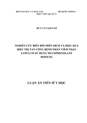 Nghiên cứu biến đổi miễn dịch và hiệu quả mycophenolate 