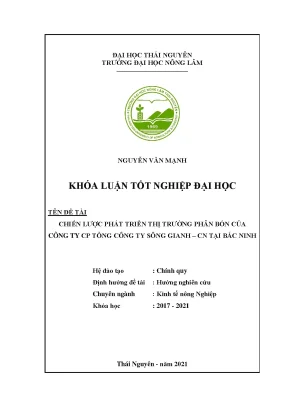 Chiến lược phát triển thị trường phân bón của Công ty Cổ