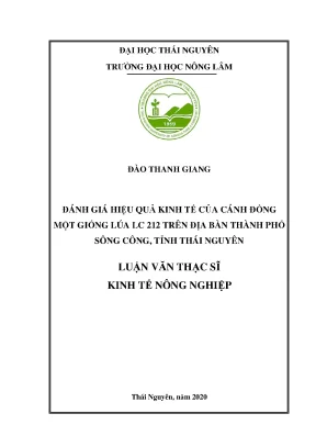 Đánh giá hiệu quả kinh tế của giống lúa LC 212 tại Sông Công