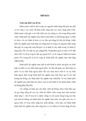 Nghiên cứu nồng độ hsCRP và TNFα ở bệnh nhân bệnh mạch