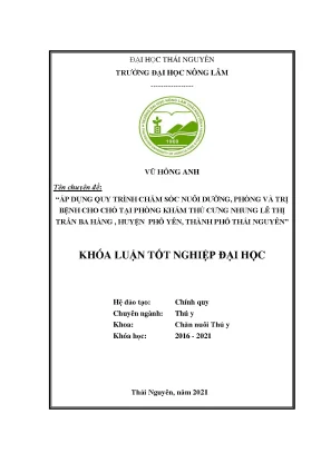 Chăm sóc và điều trị bệnh cho chó tại phòng khám thú 