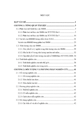 Luận án nghiên cứu mô bệnh học hóa mô miễn dịch và một số yếu tố tiên lượng của sarcôm mô mềm thường gặp