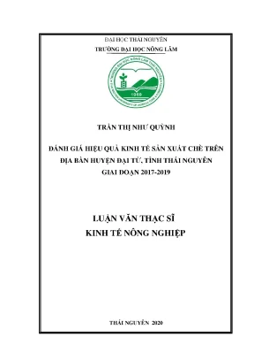 Đánh giá hiệu quả kinh tế sản xuất chè tại Đại Từ, Thái 