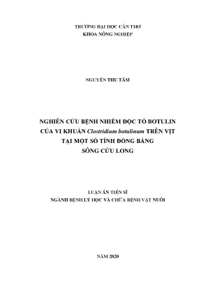 Nghiên cứu bệnh nhiễm độc tố botulin trên vịt tại đồng 