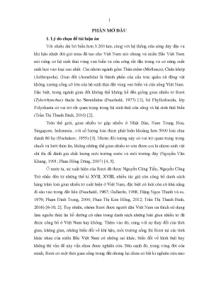 Nghiên cứu rươi Nereididae Tylorrhynchus trong hệ sinh 