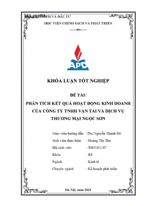 Phân Tích Kết Quả Kinh Doanh Công Ty TNHH Ngọc Sơn