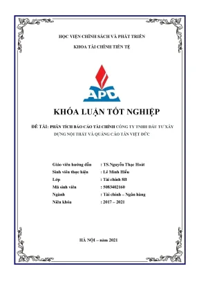 Phân Tích Báo Cáo Tài Chính Công Ty TNHH Tân Việt Đức