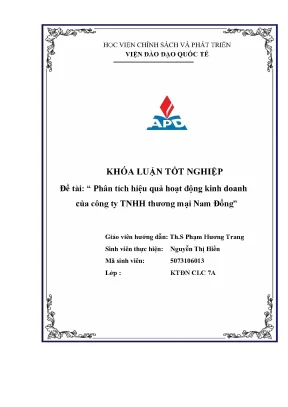 Phân Tích Hiệu Quả Kinh Doanh Công Ty TNHH Thương Mại