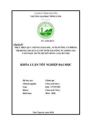 Chăm sóc và phòng trị bệnh cho gà đẻ tại trại giống gia 