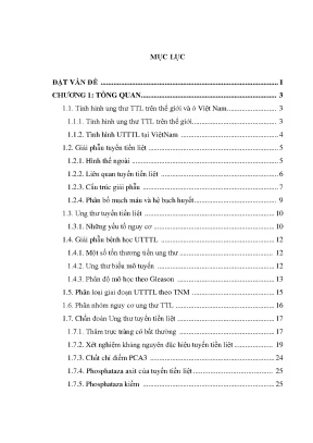 Nghiên cứu ứng dụng sinh thiết tuyến tiền liệt qua siêu