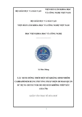 Phương pháp điện di mao quản xác định kháng sinh 