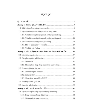 Nghiên cứu giải phẫu vạt mạch xuyên cơ bụng chân và động 