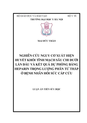 Nghiên cứu nguy cơ huyết khối tĩnh mạch sâu và hiệu quả