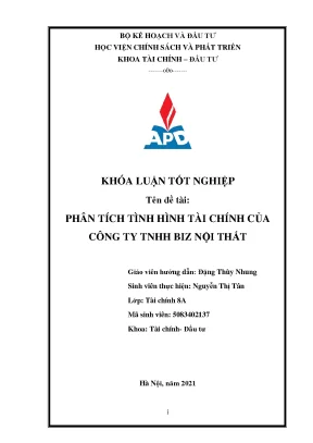 Phân Tích Tình Hình Tài Chính Công Ty TNHH Biz Nội Thất