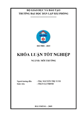 Tác động môi trường của dự án xây dựng nhà máy chế biến 