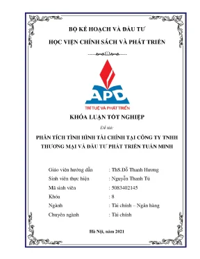 Phân Tích Tình Hình Tài Chính Công Ty TNHH Thương Mại và