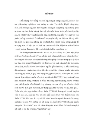 Nghiên cứu hoạt tính sinh học từ thực vật và nấm nội sinh