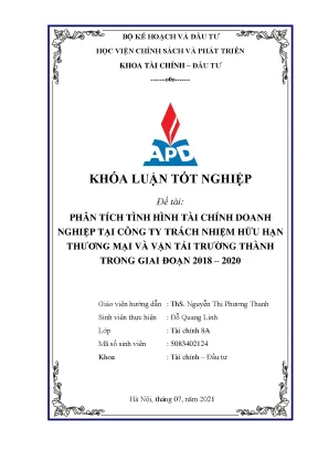 Phân Tích Tình Hình Tài Chính Doanh Nghiệp Trường Thành