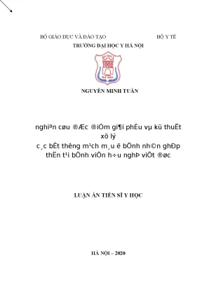 Nghiên cứu giải phẫu và xử lý bất thường mạch máu ở bệnh 