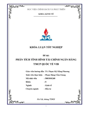 Phân Tích Tình Hình Tài Chính Ngân Hàng TMCP Quốc Tế VIB