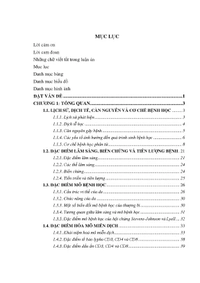 Nghiên cứu hội chứng Stevens-Johnson và Lyell do dị ứng 