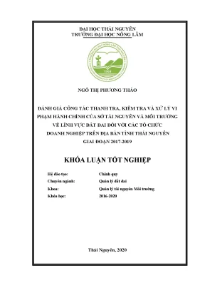 Đánh giá công tác thanh tra và xử lý vi phạm hành chính 