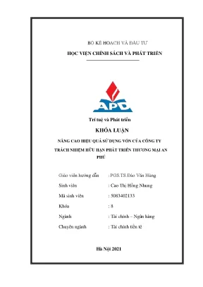 Tối ưu hóa hiệu quả sử dụng vốn tại Công ty TNHH Phát