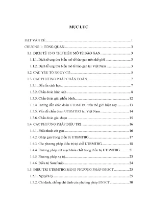 Đánh giá hiệu quả điều trị ung thư gan bằng đốt nhiệt