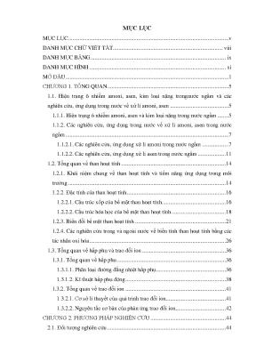 Nghiên cứu biến tính than hoạt tính để xử lý ion độc