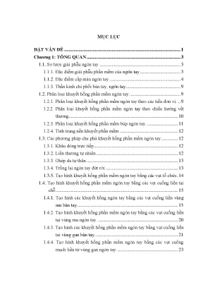 Nghiên cứu tạo hình khuyết hổng phần mềm ngón tay bằng 