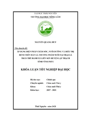 Chăm sóc và điều trị bệnh cho gà thương phẩm tại trại gà 