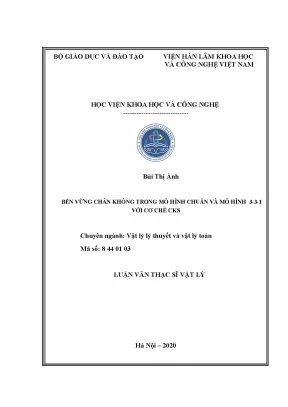 Nghiên cứu bền vững chân không trong mô hình chuẩn và 3 