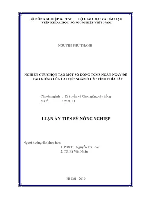 Nghiên cứu chọn tạo giống lúa lai cực ngắn cho các tỉnh 
