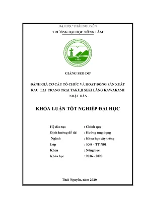 Đánh Giá Cơ Cấu Tổ Chức và Sản Xuất Rau Tại Trang Trại 