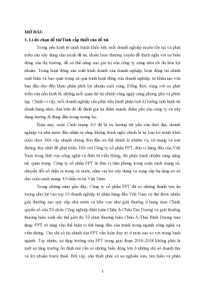 Phân Tích Tình Hình Tài Chính Công Ty Cổ Phần FPT 