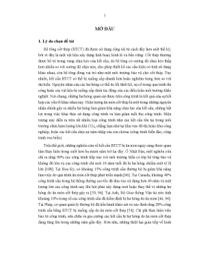 Nghiên cứu ứng xử dầm bê tông cốt thép bị ăn mòn và gia