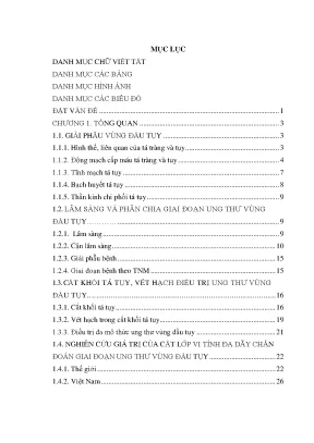 Giá trị của cắt lớp vi tính đa dãy trong điều trị ung 