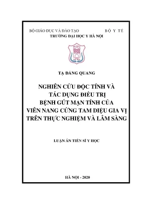 Nghiên cứu tác dụng điều trị và độc tính của viên nang 