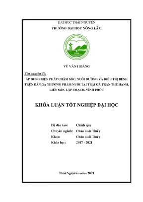 Chăm sóc và điều trị bệnh cho gà thương phẩm tại trại gà 