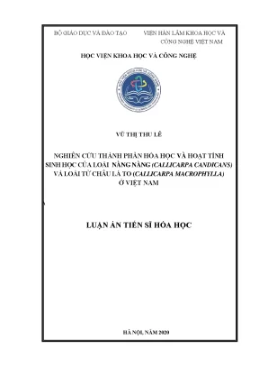 Nghiên cứu hóa học và hoạt tính sinh học của Callicarpa 