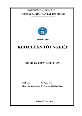 Nghiên cứu khả năng hấp thụ benzen và toluen của chất 